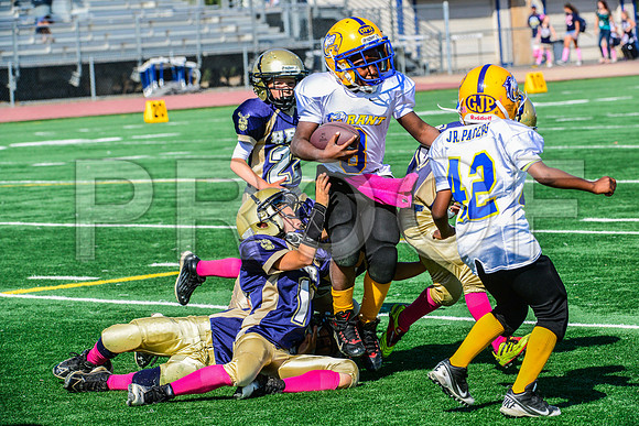 JR PEE WEE Elk Grove Herd-18