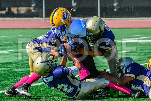JR PEE WEE Elk Grove Herd-23