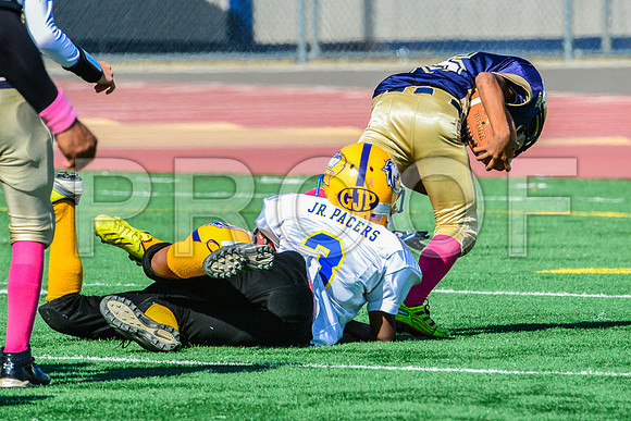 JR PEE WEE Elk Grove Herd-48