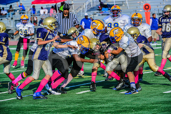 Jr Midgets Elk Grove Herd-157