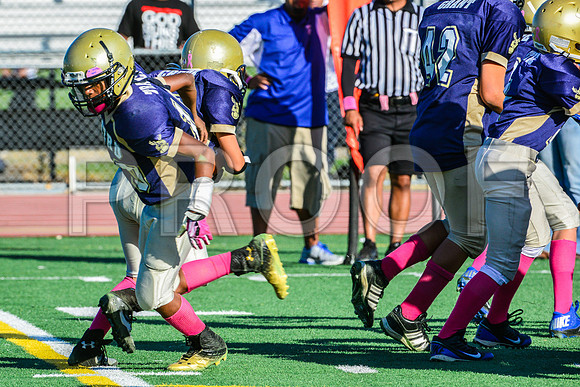 Jr Midgets Elk Grove Herd-123