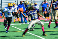 Jr Midgets Elk Grove Herd-19