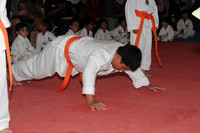 MSP_1560