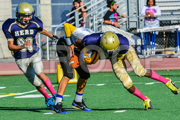 Jr Midgets Elk Grove Herd-117