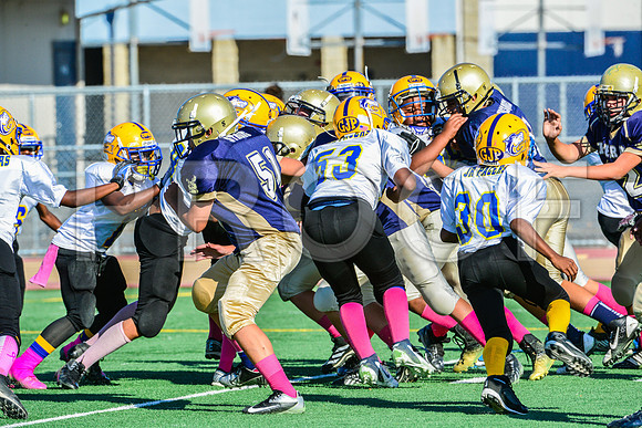Jr Midgets Elk Grove Herd-84