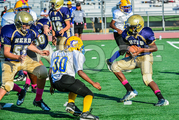 Jr Midgets Elk Grove Herd-179