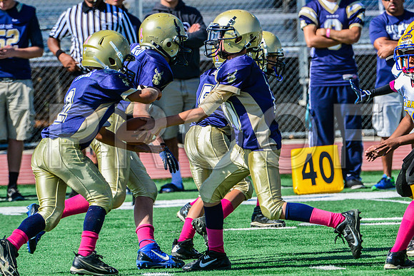 JR PEE WEE Elk Grove Herd-74