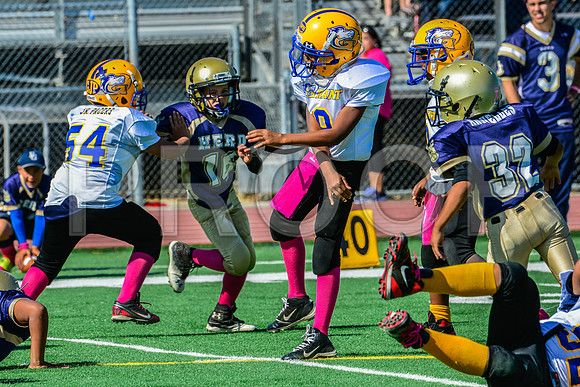 JR PEE WEE Elk Grove Herd-55