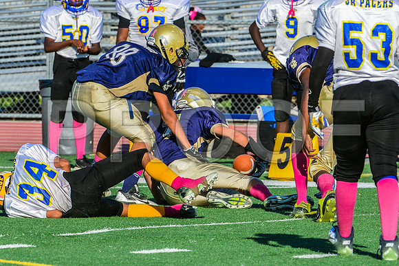 Jr Midgets Elk Grove Herd-161