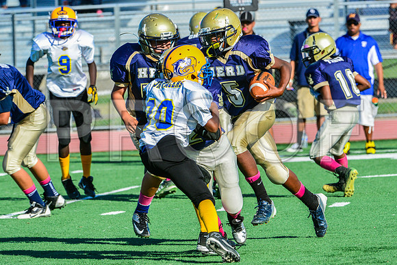 Jr Midgets Elk Grove Herd-75