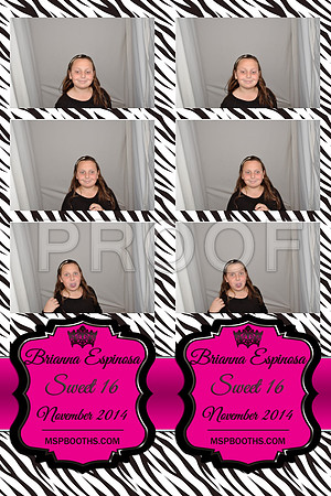 2014-11-8-0008-d