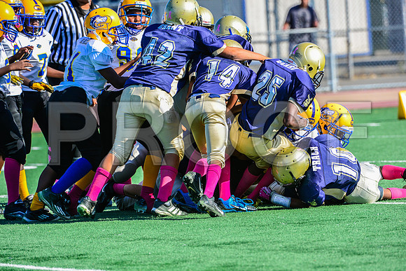 Jr Midgets Elk Grove Herd-45