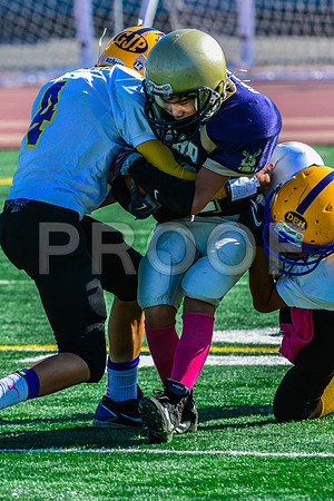 Jr Midgets Elk Grove Herd-40