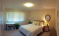Pano5
