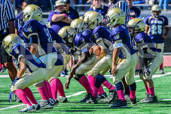 JR PEE WEE Elk Grove Herd-94