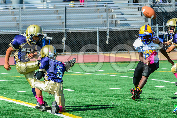 JR PEE WEE Elk Grove Herd-54