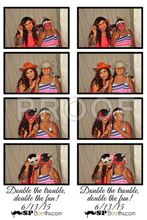 2015-6-13-0061-d