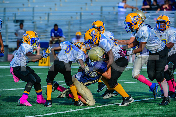 Jr Midgets Elk Grove Herd-137