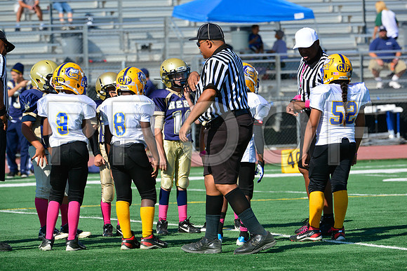 JR PEE WEE Elk Grove Herd-1