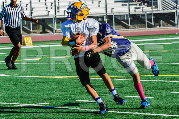 Jr Midgets Elk Grove Herd-109