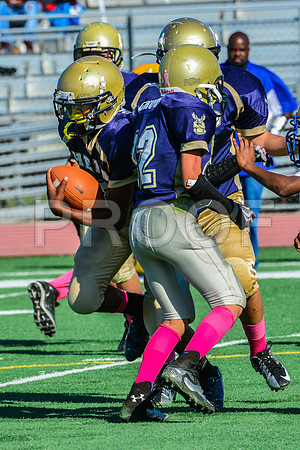 Jr Midgets Elk Grove Herd-61