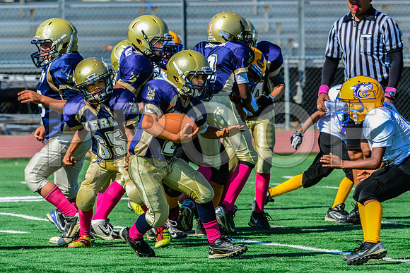 JR PEE WEE Elk Grove Herd-43