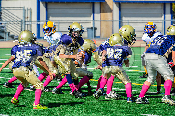 JR PEE WEE Elk Grove Herd-46