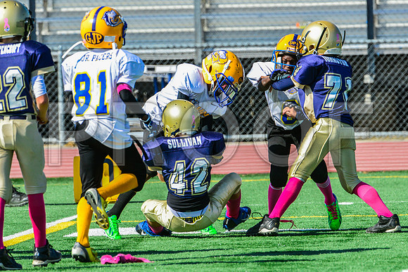 JR PEE WEE Elk Grove Herd-30