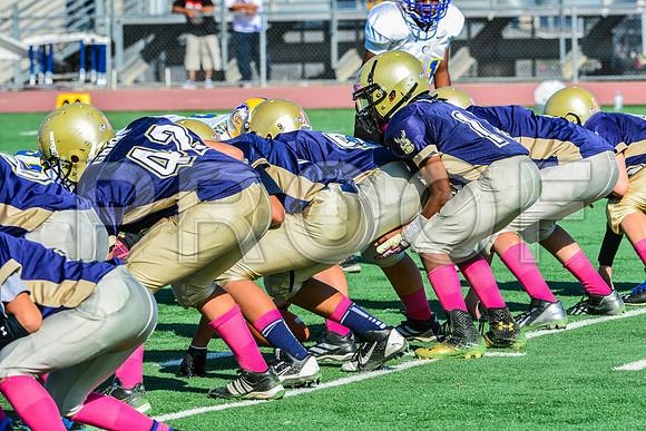 Jr Midgets Elk Grove Herd-65