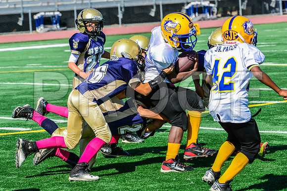 JR PEE WEE Elk Grove Herd-16
