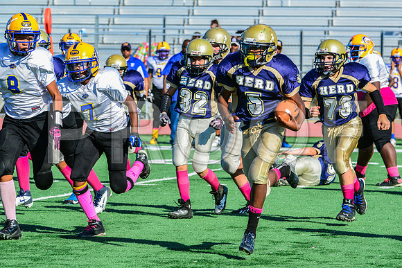 Jr Midgets Elk Grove Herd-50