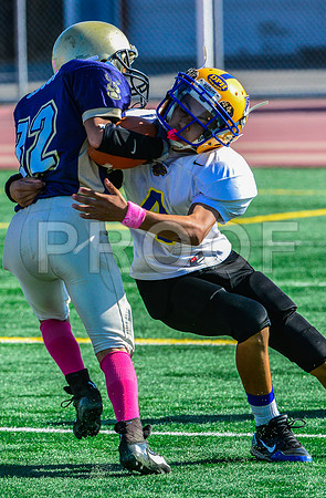 Jr Midgets Elk Grove Herd-39