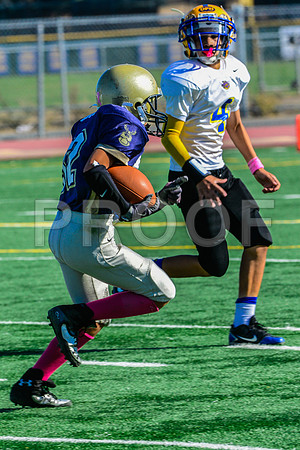 Jr Midgets Elk Grove Herd-37