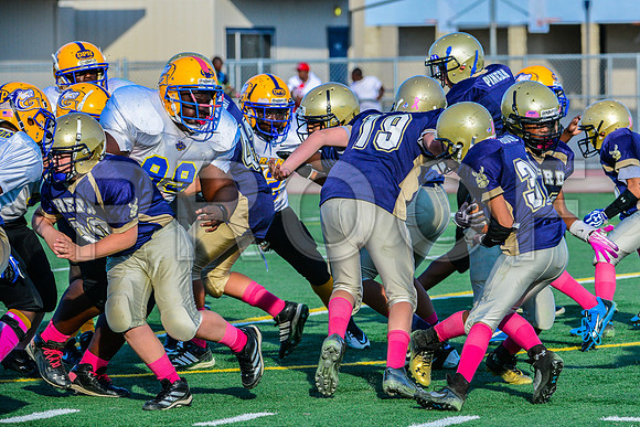 Jr Midgets Elk Grove Herd-182