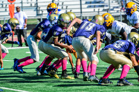 Jr Midgets Elk Grove Herd-10