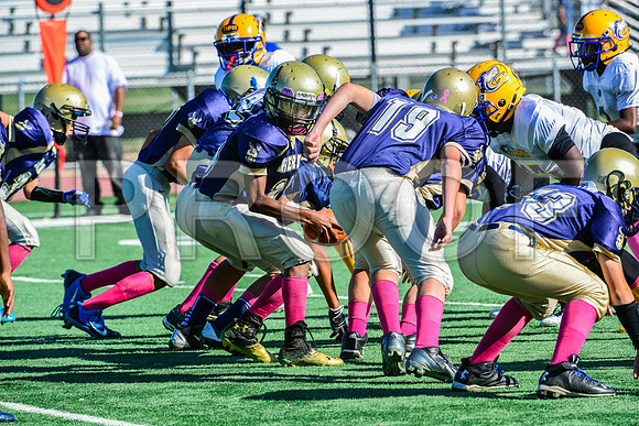 Jr Midgets Elk Grove Herd-10