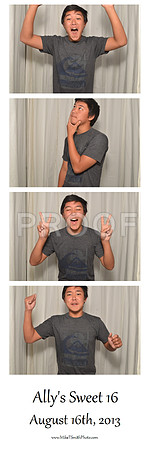 2013-8-16-0026