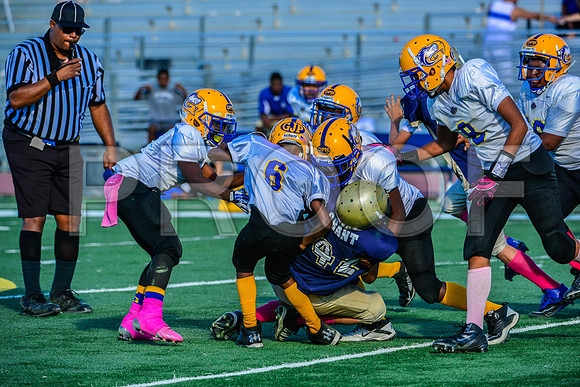 Jr Midgets Elk Grove Herd-138