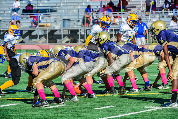 Jr Midgets Elk Grove Herd-56