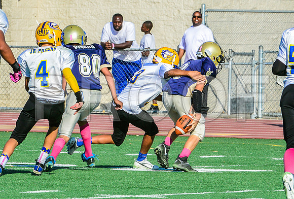 Jr Midgets Elk Grove Herd-100