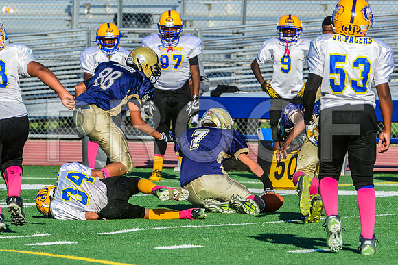 Jr Midgets Elk Grove Herd-160