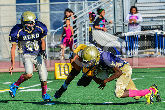 Jr Midgets Elk Grove Herd-118