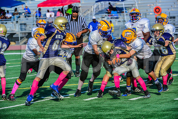 Jr Midgets Elk Grove Herd-156