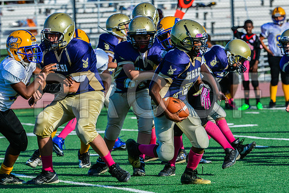 Jr Midgets Elk Grove Herd-126