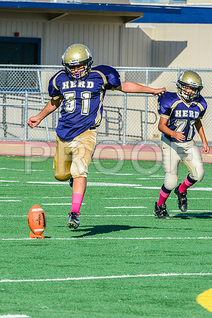 Jr Midgets Elk Grove Herd-101