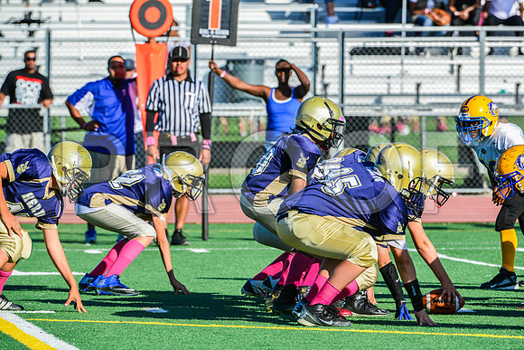 Jr Midgets Elk Grove Herd-121