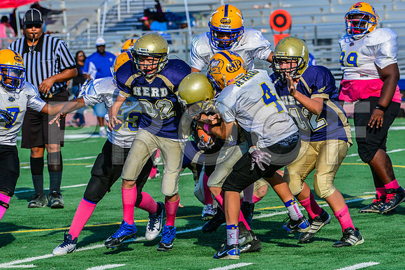 Jr Midgets Elk Grove Herd-155