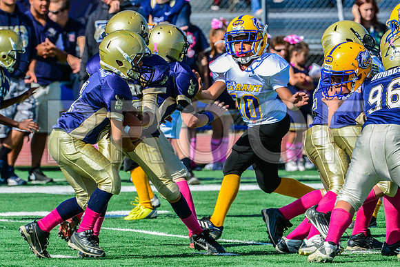JR PEE WEE Elk Grove Herd-59