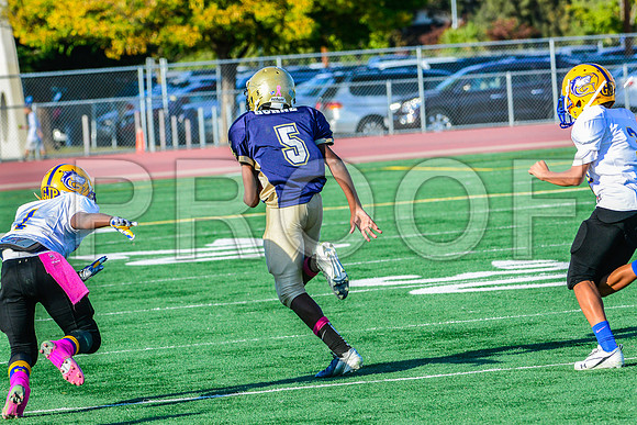 Jr Midgets Elk Grove Herd-176