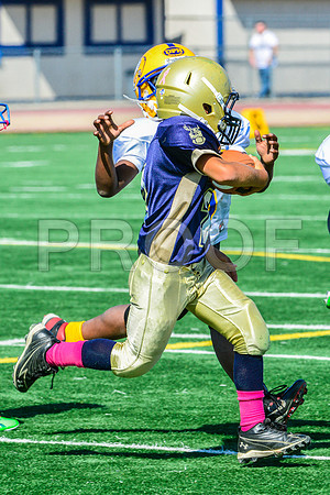 JR PEE WEE Elk Grove Herd-62